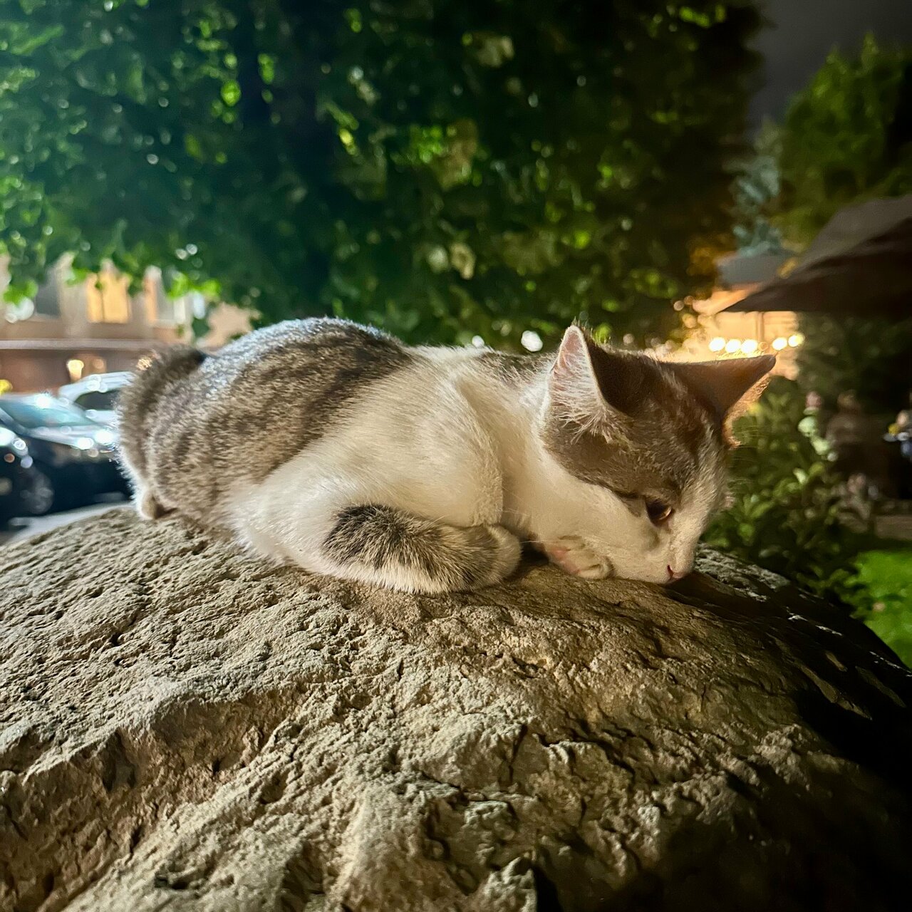 Гостиница Корона Нальчик-87