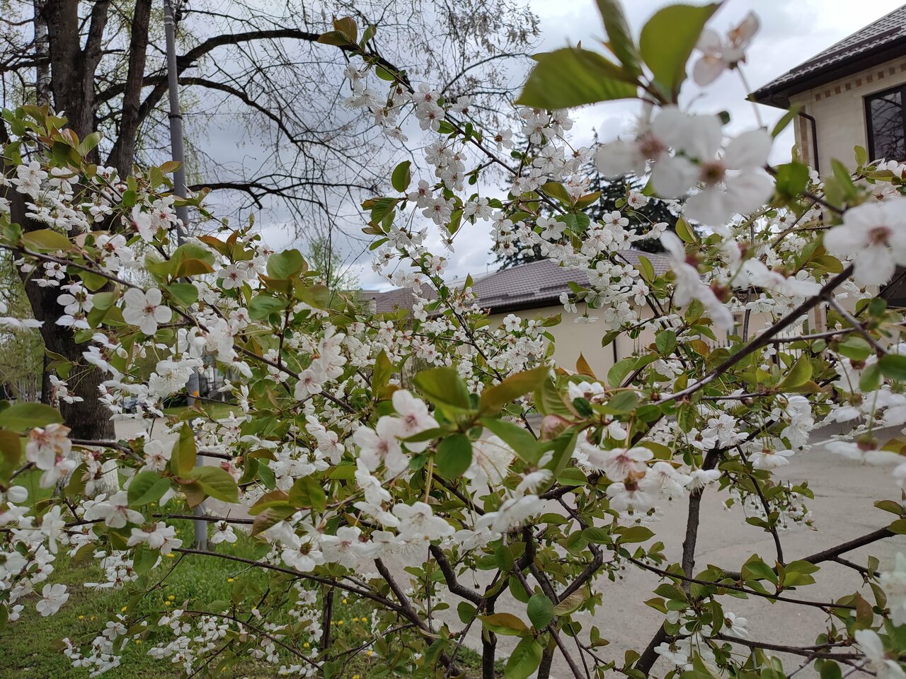 Гостиница Корона Нальчик-97