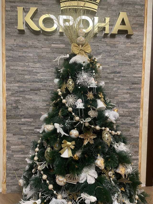 Гостиница Корона Нальчик-89